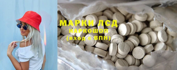 спиды Елизово