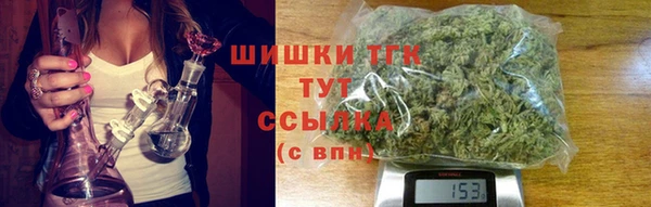 гидропоника Елабуга