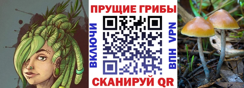 Галлюциногенные грибы Magic Shrooms  наркотики  Окуловка 